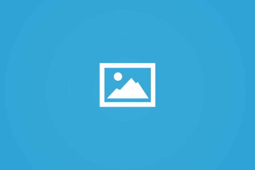 thumb (3)